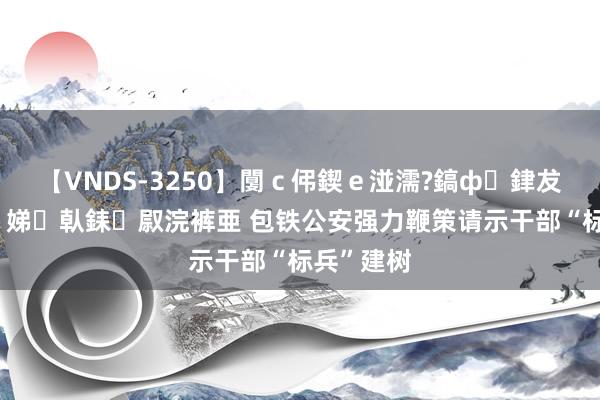 【VNDS-3250】闅c伄鍥e湴濡?鎬ф銉犮儵銉犮儵 娣倝銇叞浣裤亜 包铁公安强力鞭策请示干部“标兵”建树
