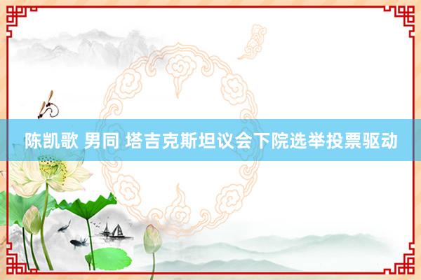 陈凯歌 男同 塔吉克斯坦议会下院选举投票驱动