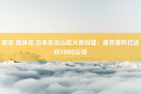 探花 姐妹花 日本东北山区火势凶猛：废弃面积已达约1800公顷