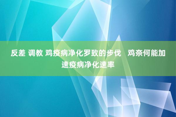 反差 调教 鸡疫病净化罗致的步伐   鸡奈何能加速疫病净化速率