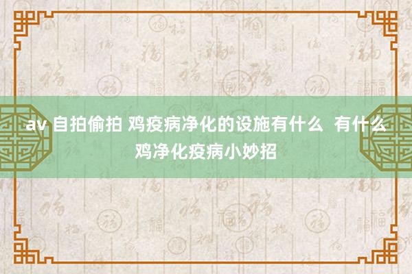 av 自拍偷拍 鸡疫病净化的设施有什么  有什么鸡净化疫病小妙招