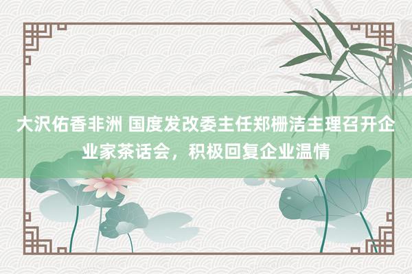 大沢佑香非洲 国度发改委主任郑栅洁主理召开企业家茶话会，积极回复企业温情