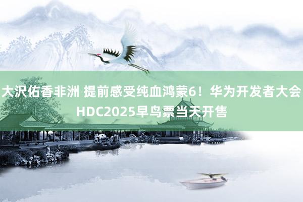 大沢佑香非洲 提前感受纯血鸿蒙6！华为开发者大会HDC2025早鸟票当天开售