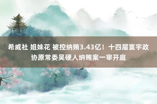 希威社 姐妹花 被控纳贿3.43亿！十四届寰宇政协原常委吴硬人纳贿案一审开庭