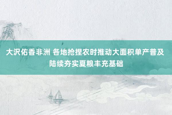 大沢佑香非洲 各地抢捏农时推动大面积单产普及 陆续夯实夏粮丰充基础