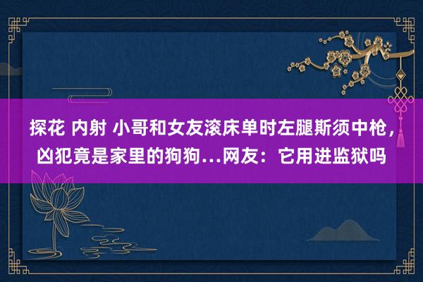 探花 内射 小哥和女友滚床单时左腿斯须中枪，凶犯竟是家里的狗狗…网友：它用进监狱吗