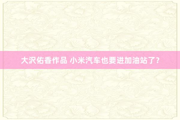 大沢佑香作品 小米汽车也要进加油站了？